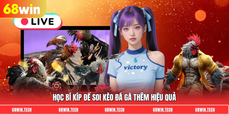 Học bí kíp để soi kèo đá gà thêm hiệu quả