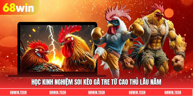 Học kinh nghiệm soi kèo gà tre từ cao thủ lâu năm