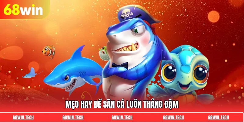 Mẹo hay để săn cá luôn thắng đậm